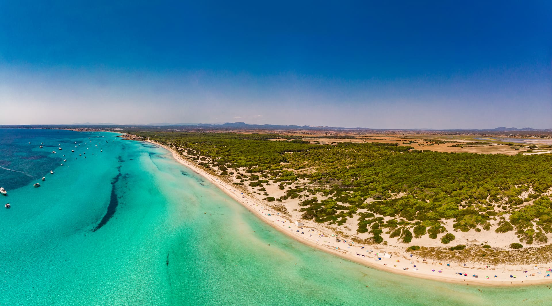 Luftaufnahme des Strandes Es Trenc