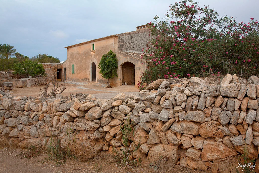 Houses in the village of Ses Salines