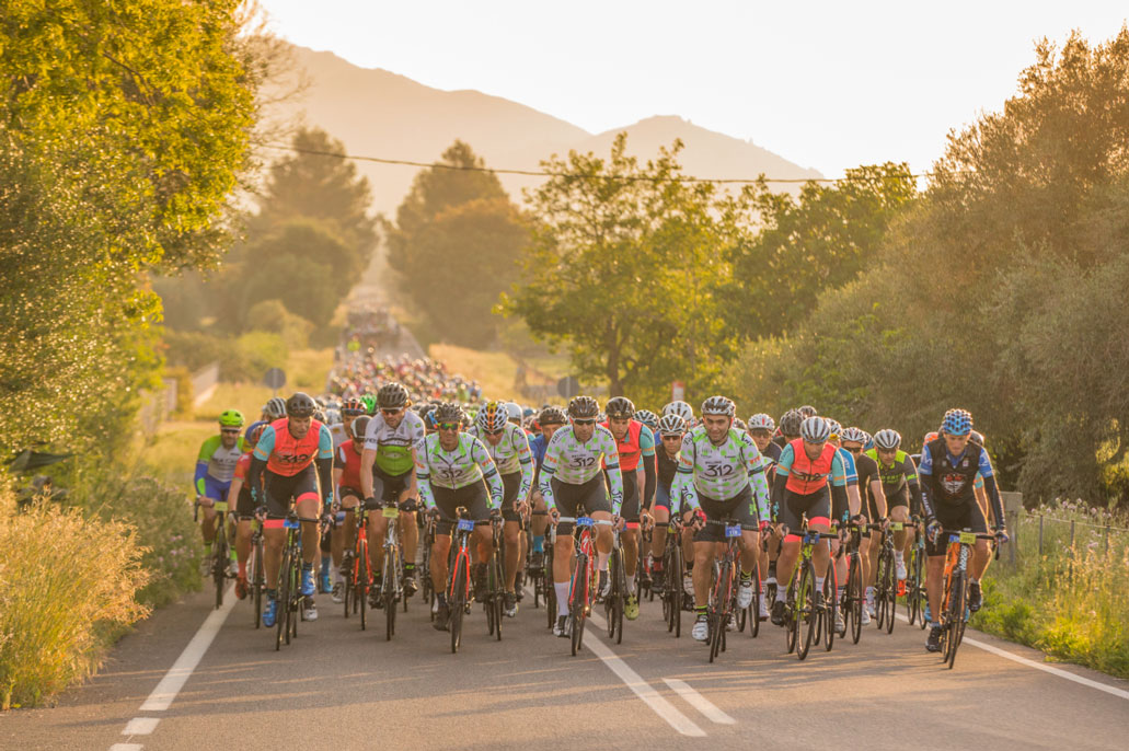 Mallorca 312 Ciclistas en la carretera