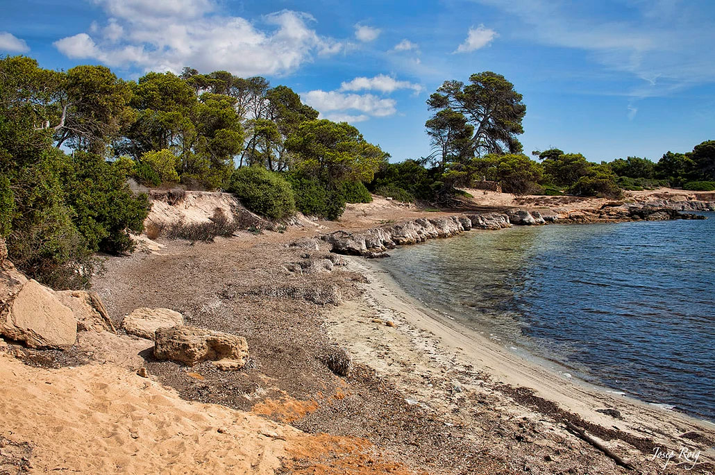 Cala en Tugores Strand mit Wald