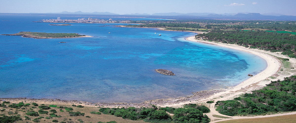 Todo sobre la Colonia de Sant Jordi