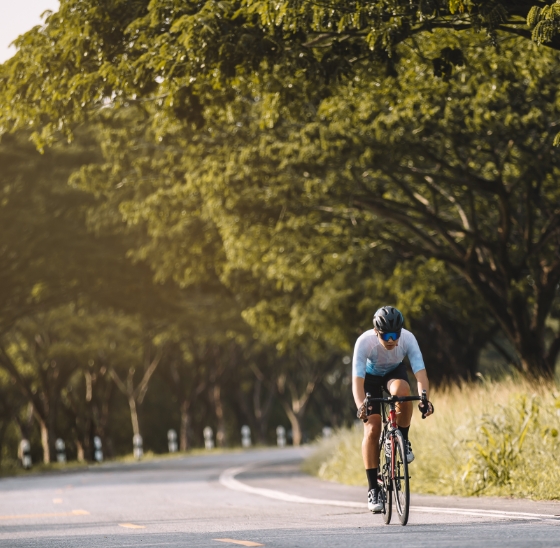 Cycling routes from the Hotel Colonial, formerly Hostal Colonial